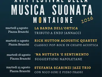 Festival della Musica Suonata