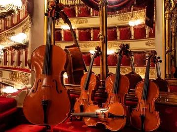 violini