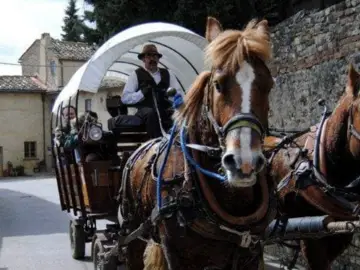 agosto a firenze e dintorni
