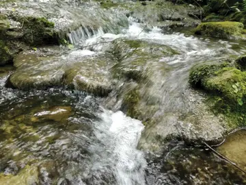 Torrente Carzola
