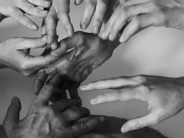 The ballad of human mutations