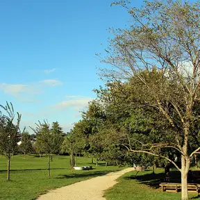 Area Pettini Burresi