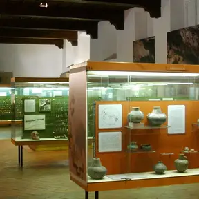 Museo e Istituto Fiorentino di Preistoria
