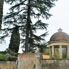 Villa dell'Ombrellino