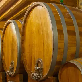 Museo della Vite e del Vino Montespertoli