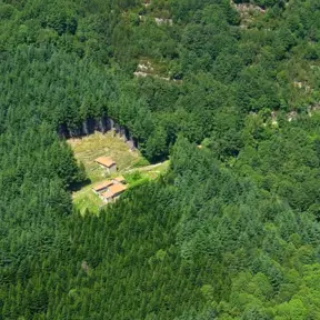 Foresta Sant'Antonio