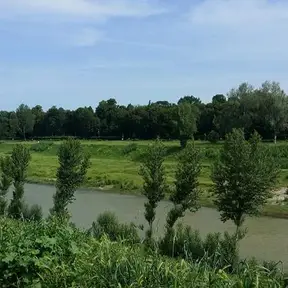 PARC