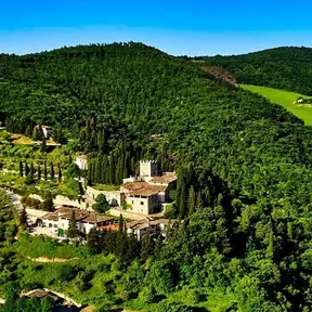 Castello di Verrazzano - Greve in Chianti