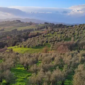 Impruneta veduta della campagna 