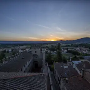 Merli del Palazzo dei Vicari