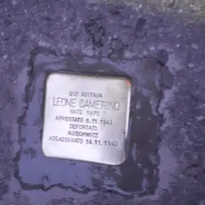 Pietra di leone camerino