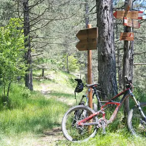 MTB trek