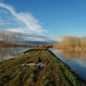 Padule di Fucecchio