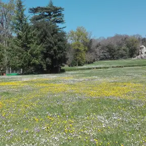 Parco Mediceo di Pratolino