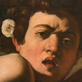 ragazzo morso da un ramarro