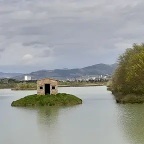 Stagni di Focognano
