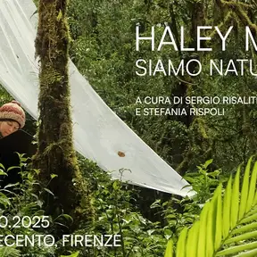 Hailey Mellin