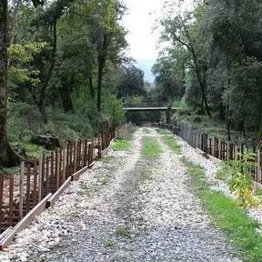 Viale degli Zampilli
