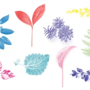Botanica Urbana