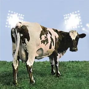 mucca