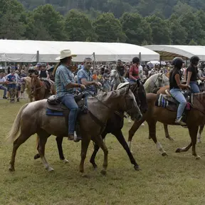 Fiera Calda di Vicchio, Mugello con la Fiera del Bestiame
