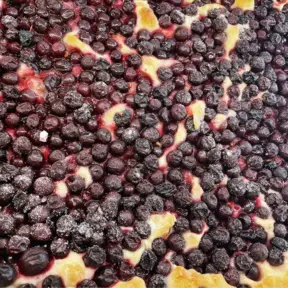 Schiacciata con l'uva