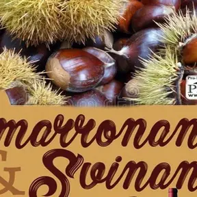 Smarronando e svinando