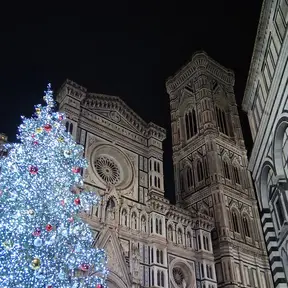 Albero di Natale in piazza del Duomo