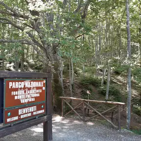 Parco Nazionale delle Foreste Casentinesi