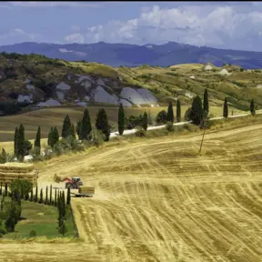 Maggio Metropolitano