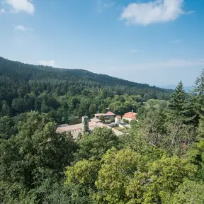 Foresta di Vallombrosa