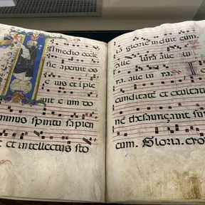 codice miniato