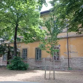 san salvi