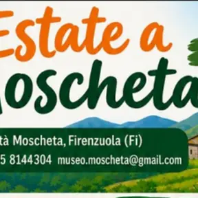 Estate a Moscheta