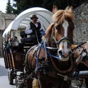 agosto a firenze e dintorni