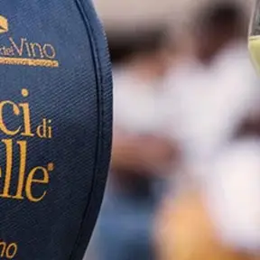 calici di stelle 2026