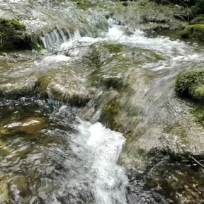 Torrente Carzola