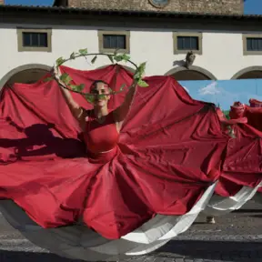 festa dell'uva impruneta