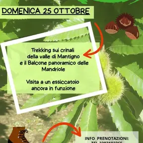 Trekking Palazzuolo