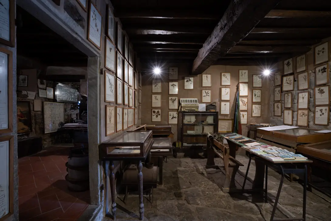 Stanza dell'Erbaio