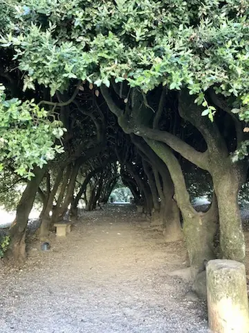Tunnel Del Parco Comunale