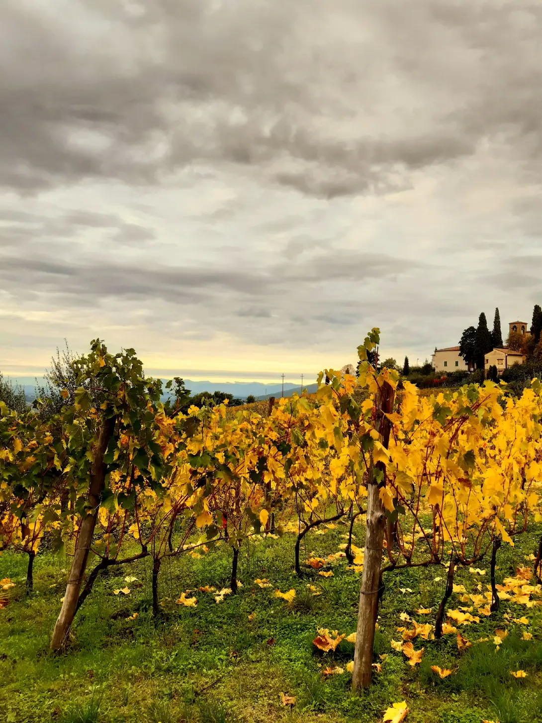 Lamole, Greve in Chianti