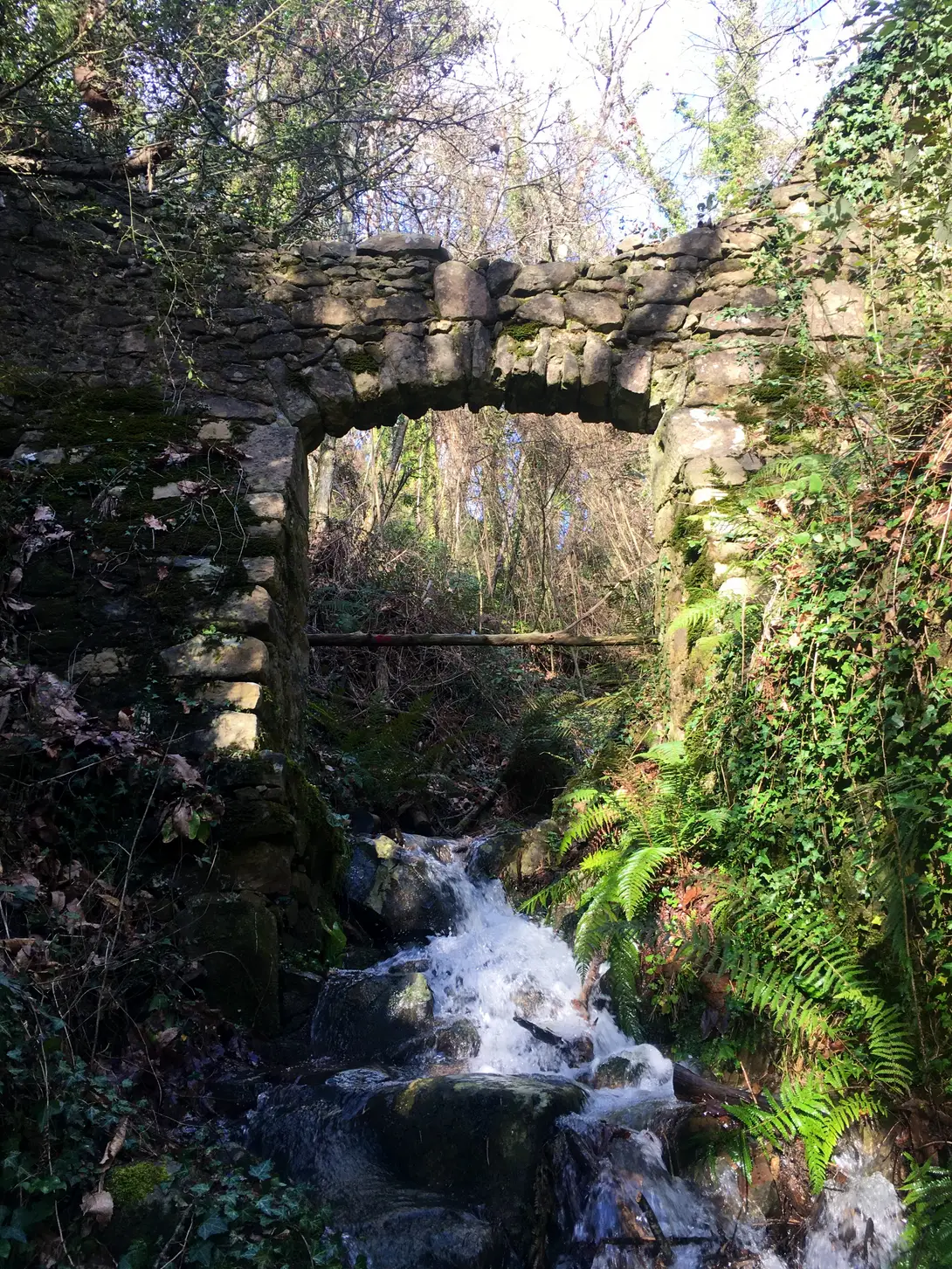 Chiusa del Barco Reale Mediceo