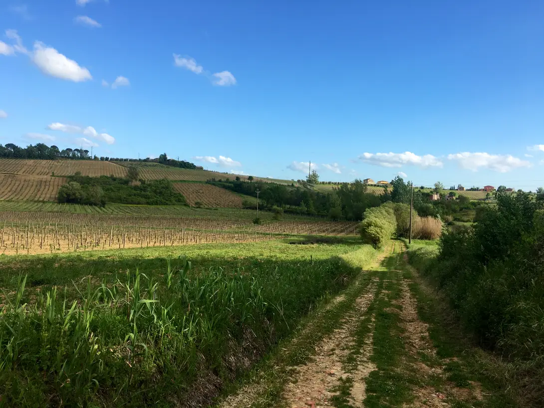 Tratto del sentiero in aperta campagna
