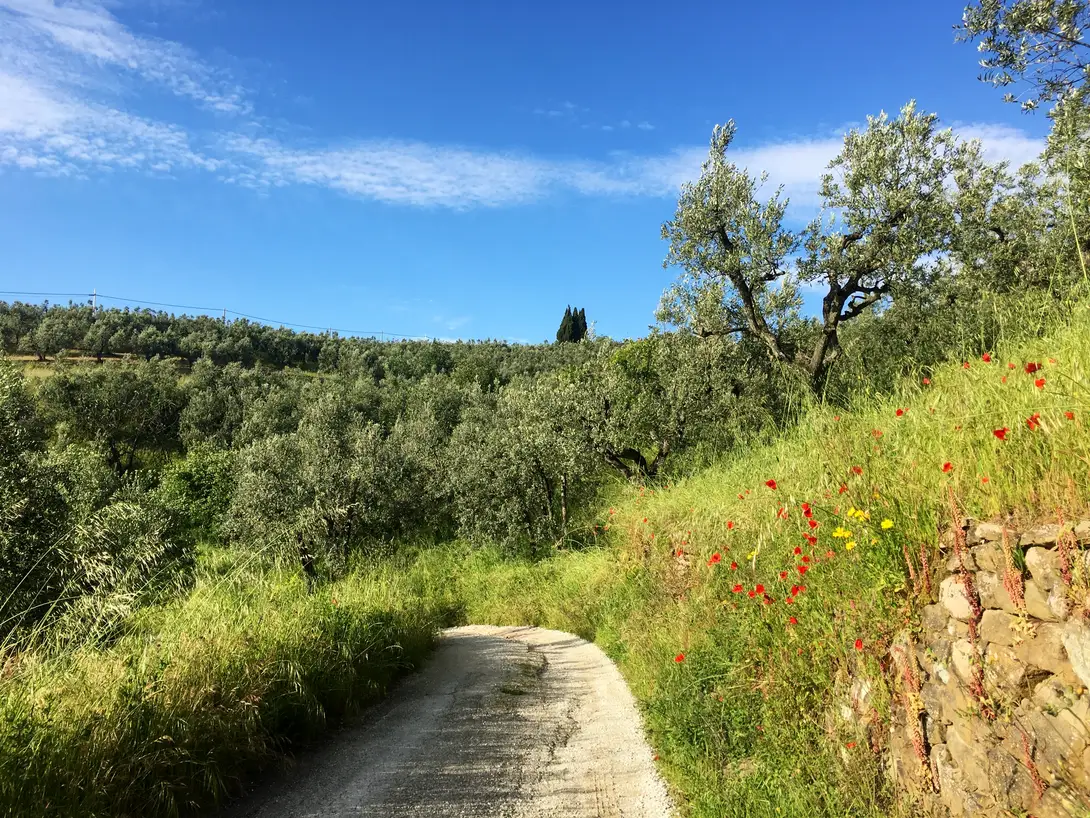 Deviazione della Strada Verde che conduce alla Villa il Ferrale