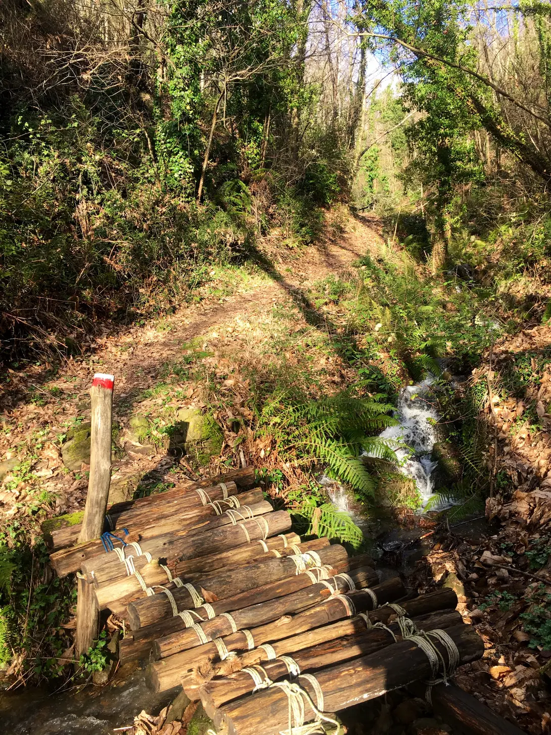 Ponte in legno lungo il sentiero