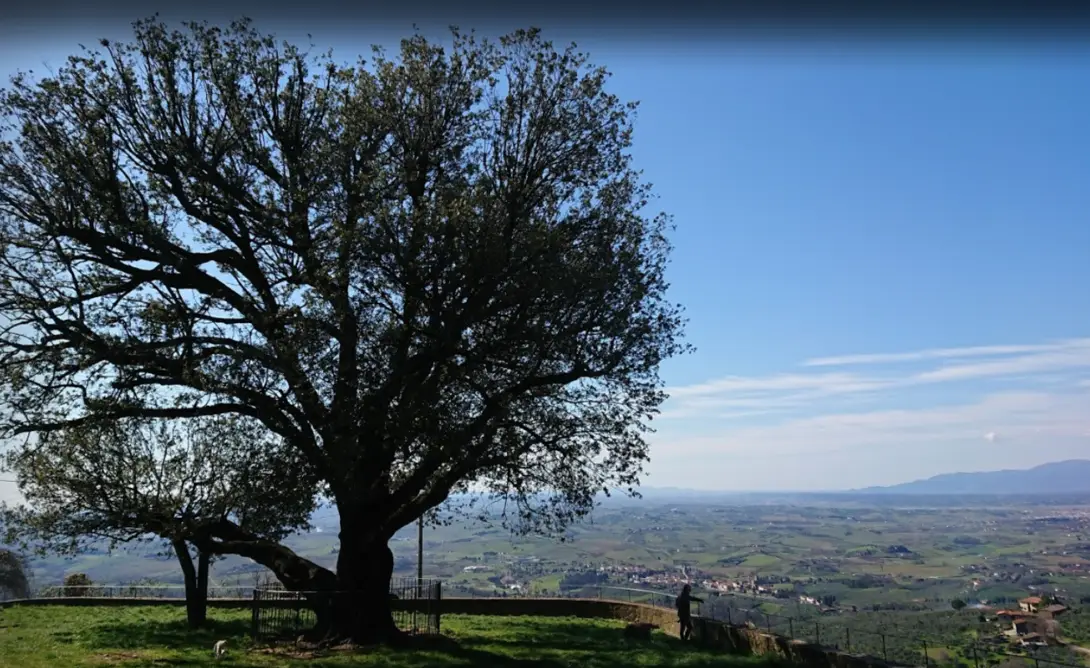 Panorama dal Leccio di Faltognano