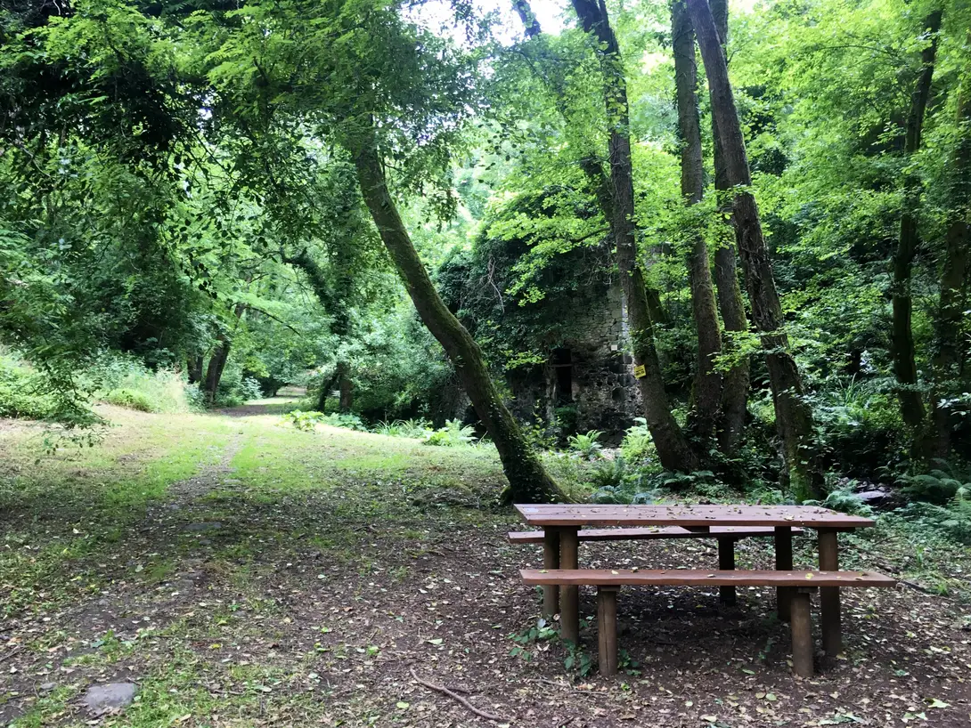 Area pic nic