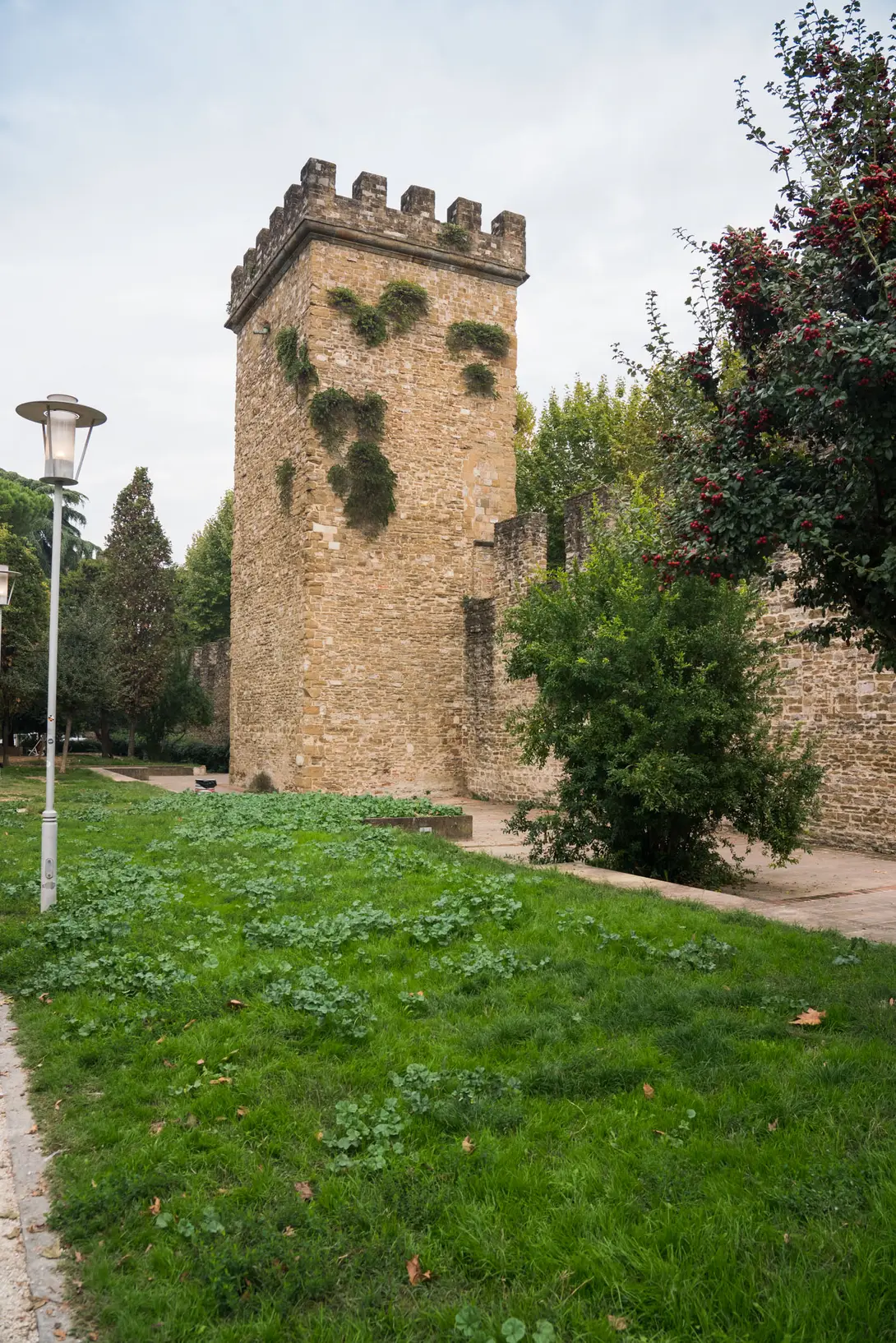 torrino di verzaia