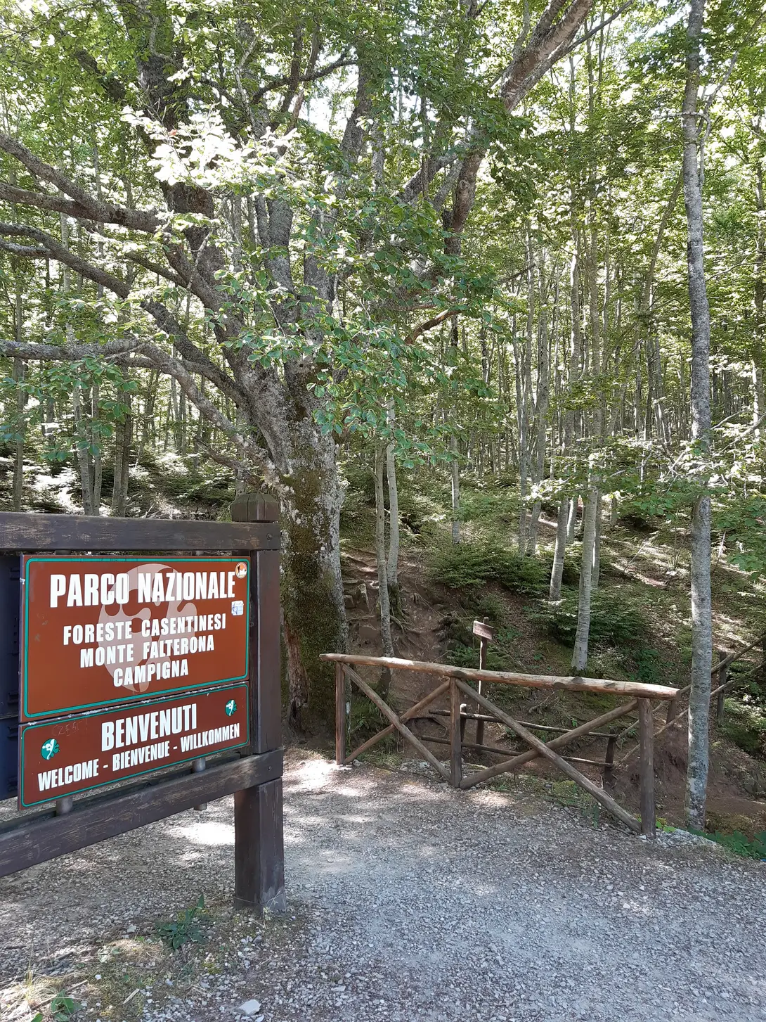 Parco Nazionale delle Foreste Casentinesi